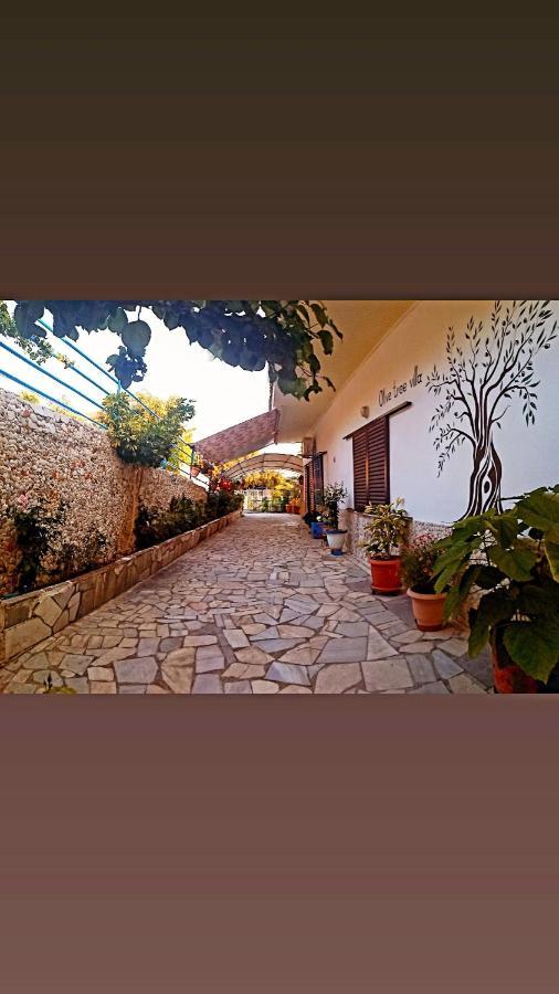 Olive Tree Villa Lygia  Ngoại thất bức ảnh