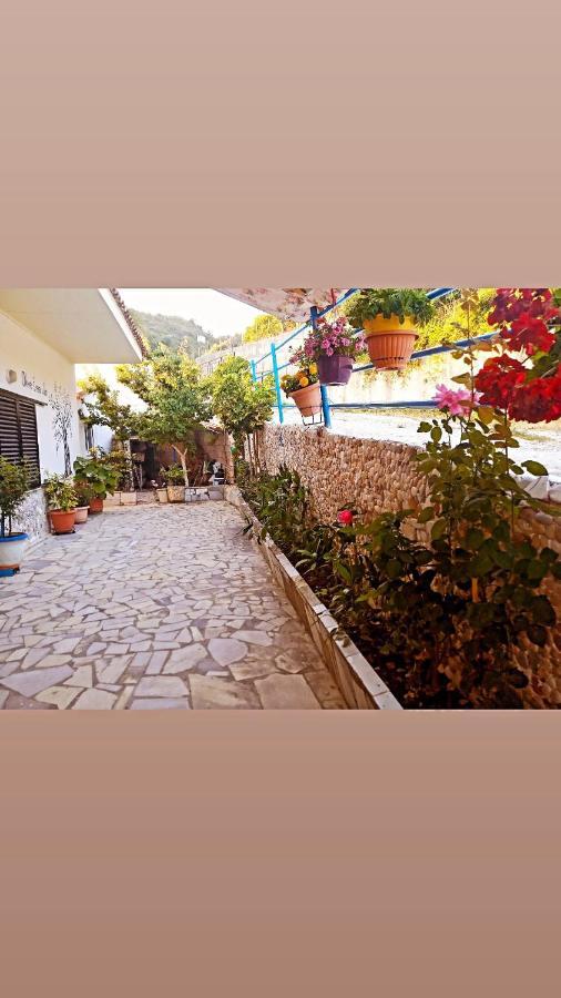 Olive Tree Villa Lygia  Ngoại thất bức ảnh