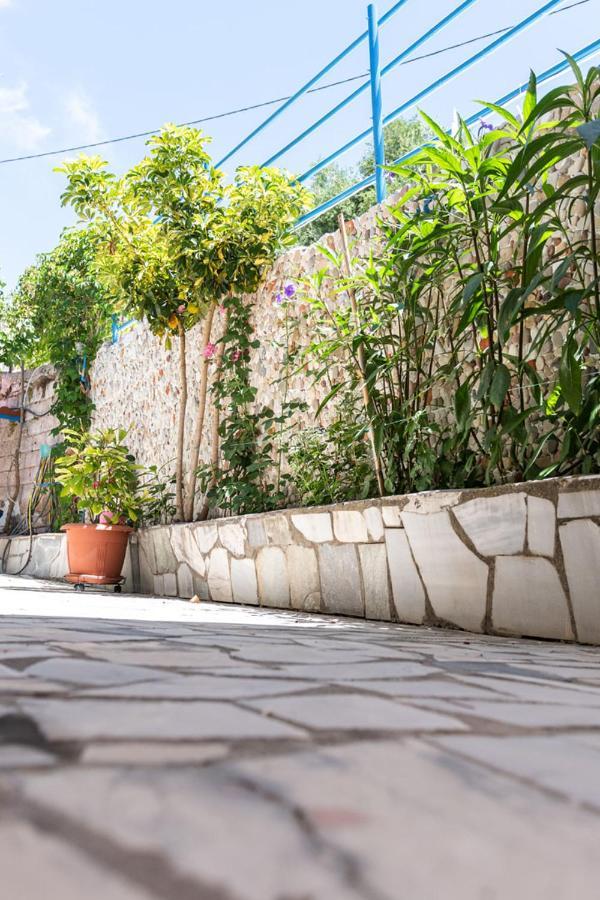 Olive Tree Villa Lygia  Ngoại thất bức ảnh