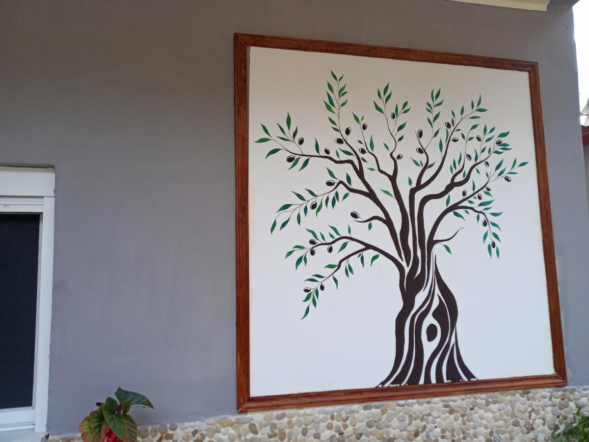 Olive Tree Villa Lygia  Ngoại thất bức ảnh